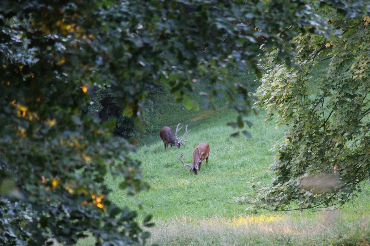 Ferienhof Krinde Ringoldswil ภายนอก รูปภาพ
